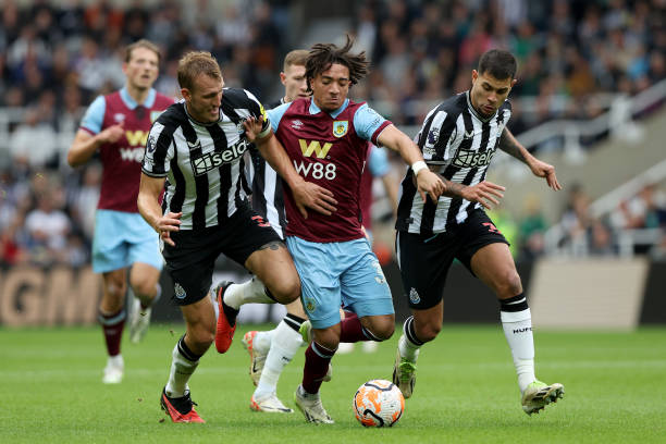 很多專家認 很多專家認