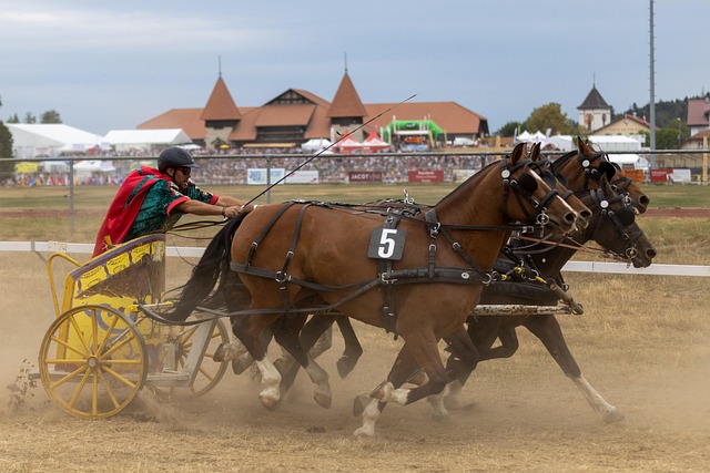 用实力和合 用实力和合